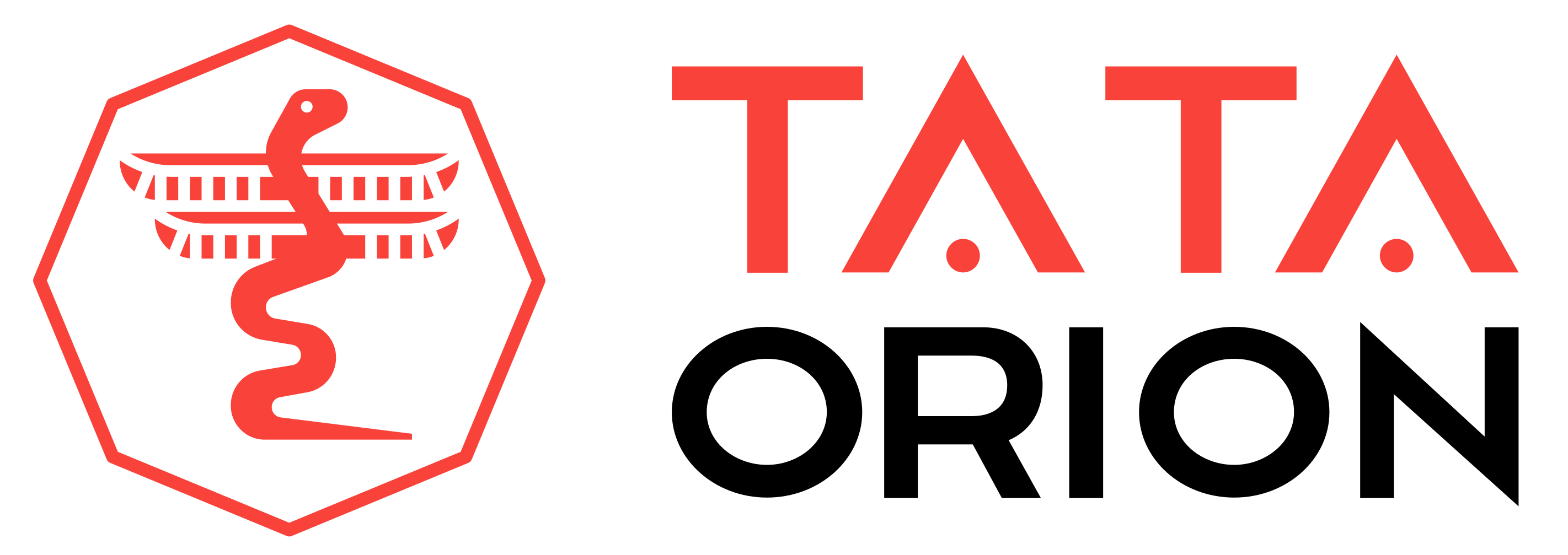 Tata Orion